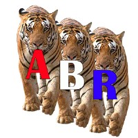 ABR Company Logo